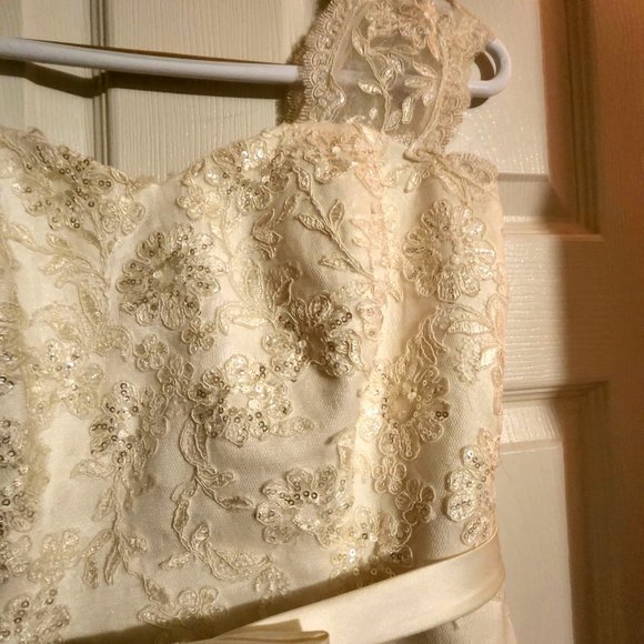 Champagne Wedding Dress - Picture 7 of 9